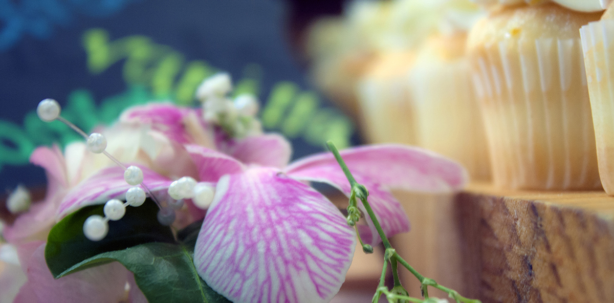Orchids and Cupcakes Orchids and Cupcakes